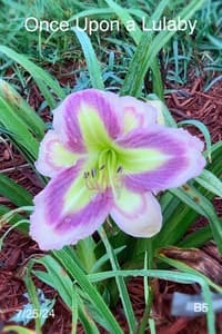 Once upon a Lullaby thumbnail