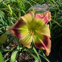 Every Friday Night thumbnail