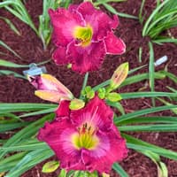 Escape to Paradise thumbnail