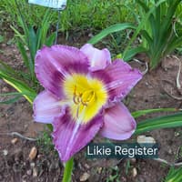 Likie Register thumbnail