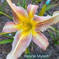 Beside Myself thumbnail