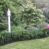 MYTHICAL MOIUNTAIN DAYLILY GARDENS  thumbnail