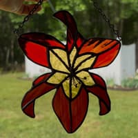 4Kings Daylilies thumbnail