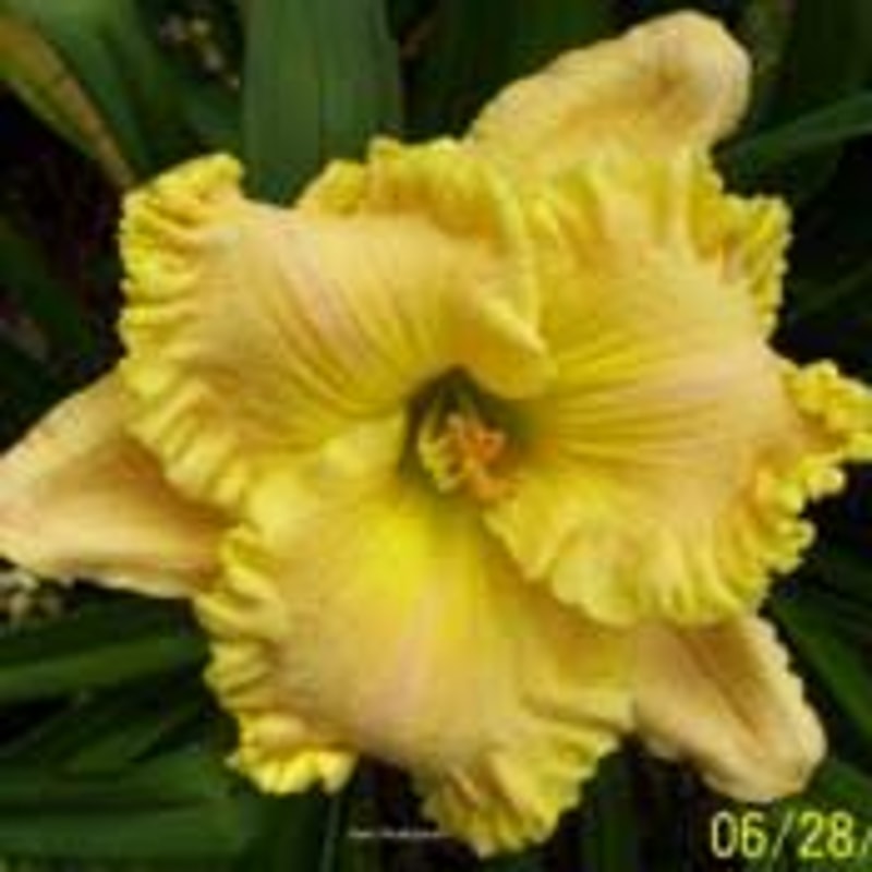 A Few Bucks More from Example