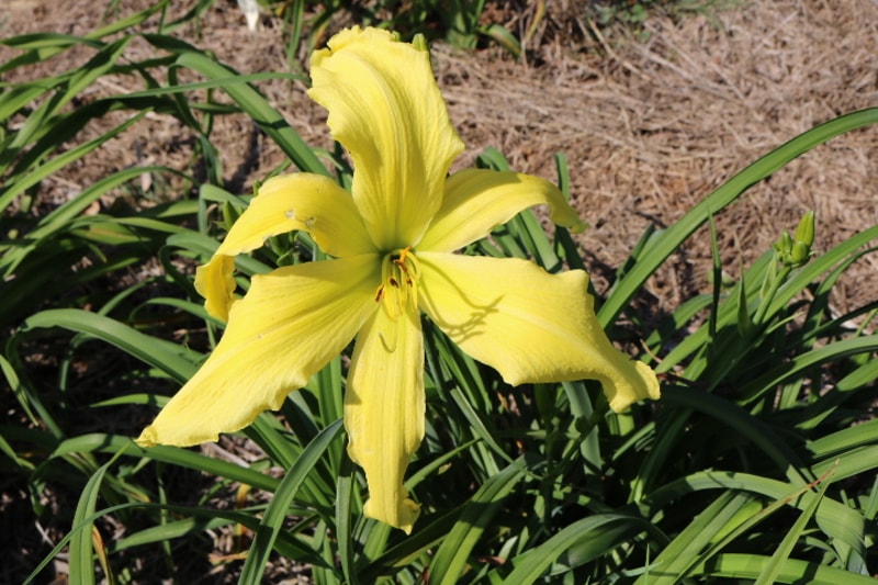 Let Loose from Haley_Springs_Farm