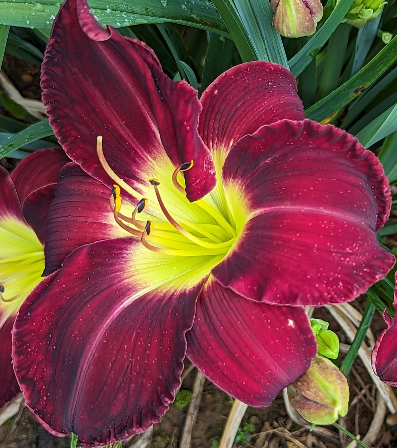 Take My Hand from Haley_Springs_Farm