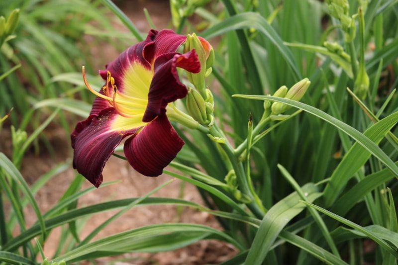 Take My Hand from Haley_Springs_Farm