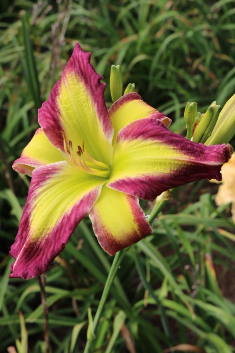 Phill Warbasse from Haley_Springs_Farm