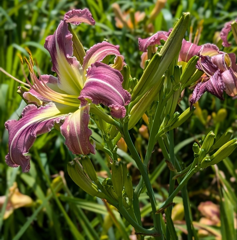 Ocean Depths from Haley_Springs_Farm