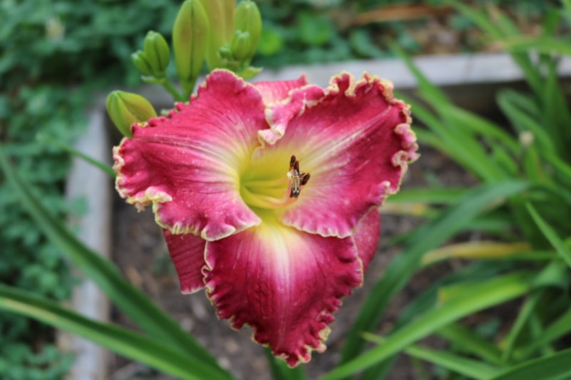 Reining from Haley_Springs_Farm