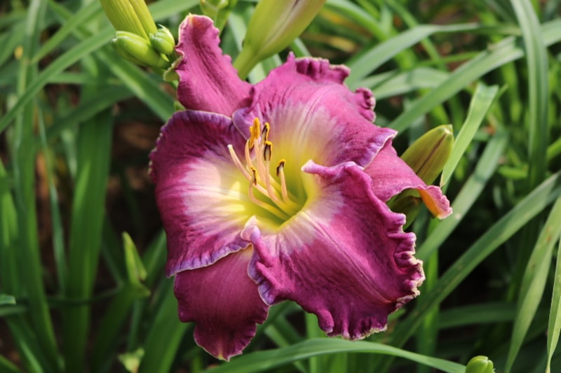 Beside Still Waters from Haley_Springs_Farm