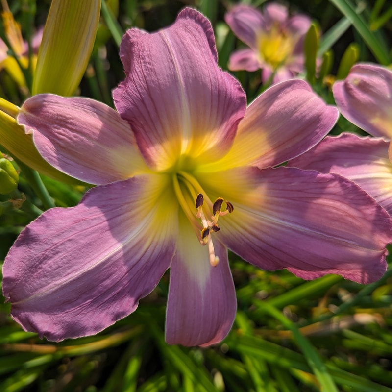 Swirling Water from Haley_Springs_Farm