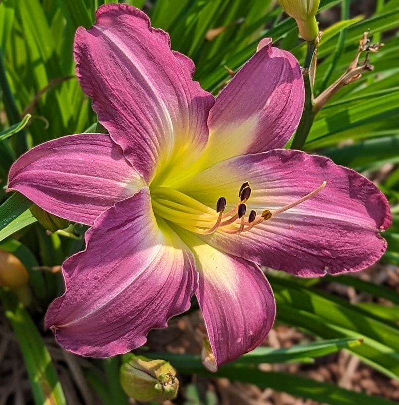 Swirling Water from Haley_Springs_Farm