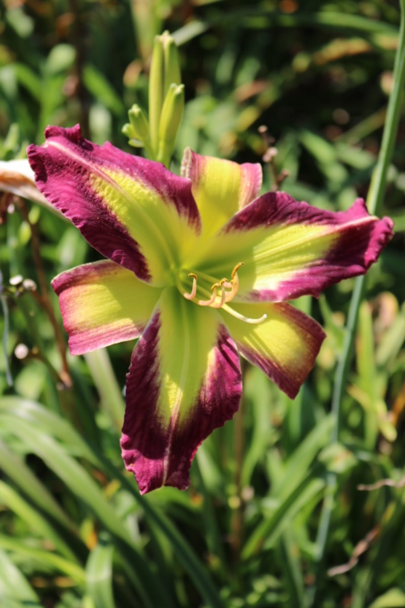 Phill Warbasse from Haley_Springs_Farm