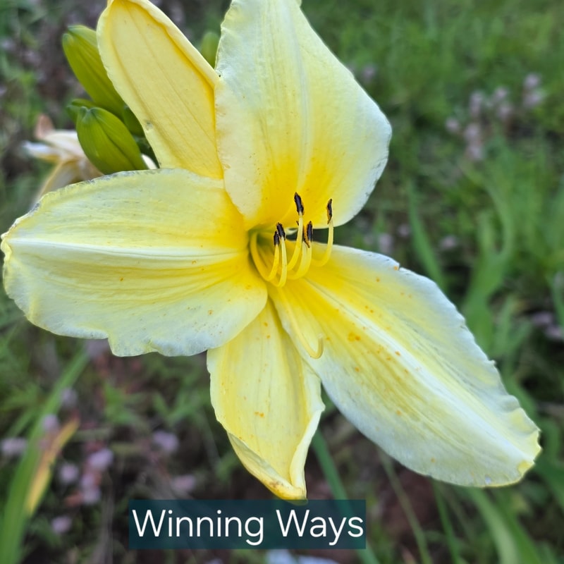 Winning Ways