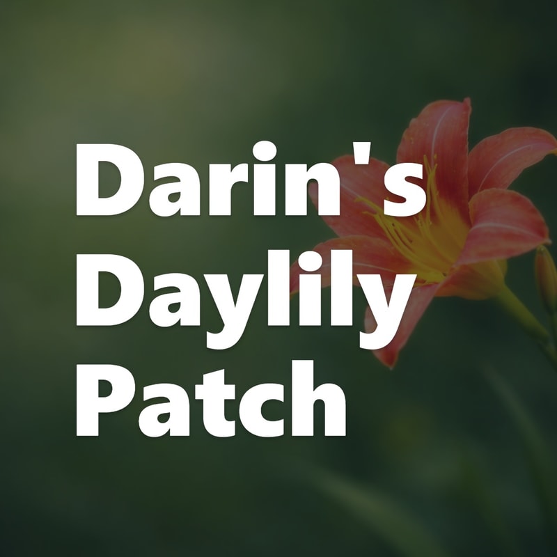 Darin's Daylily Patch garden image